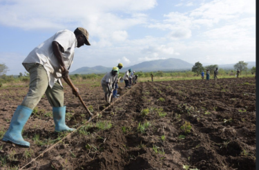 【Uganda x Agriculture】Financing agricultural technology through mobile micro-savings from Uganda! Agro-Supply