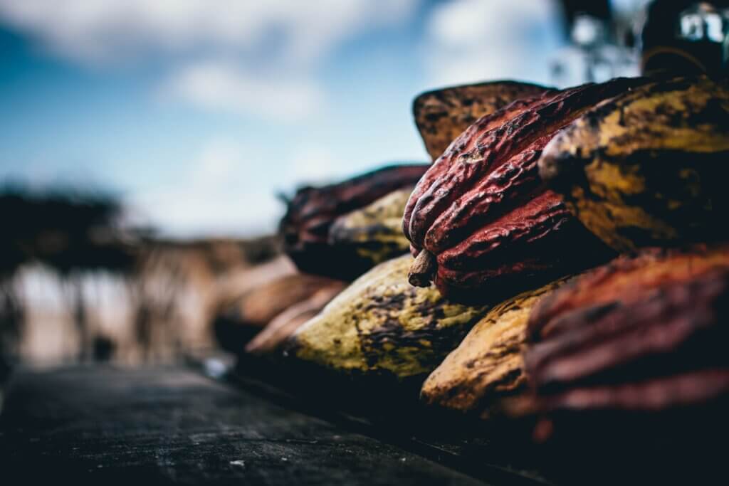 Cacao